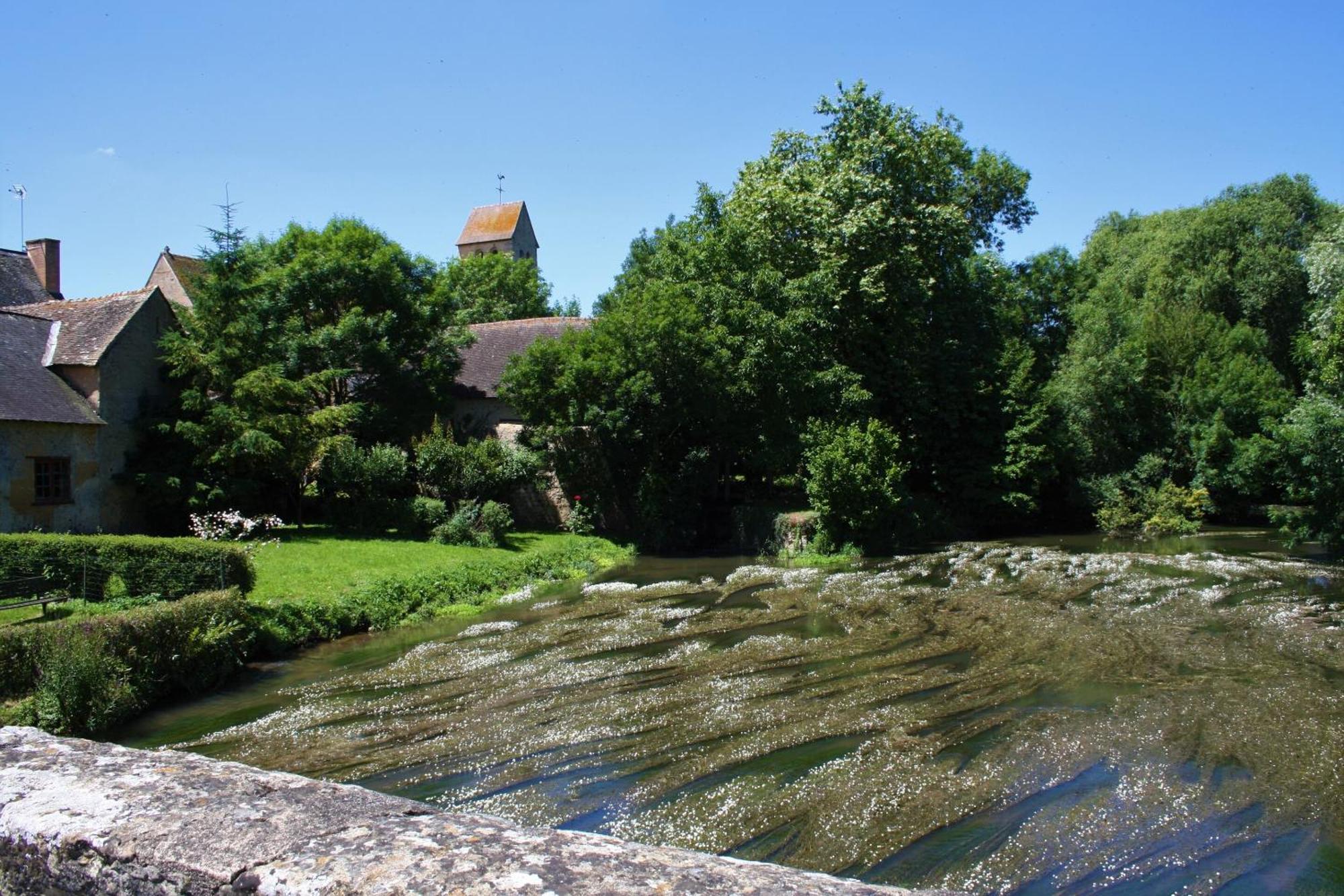 Manoir De La Basse-Cour Bed and Breakfast Asnieres-sur-Vegre Eksteriør billede